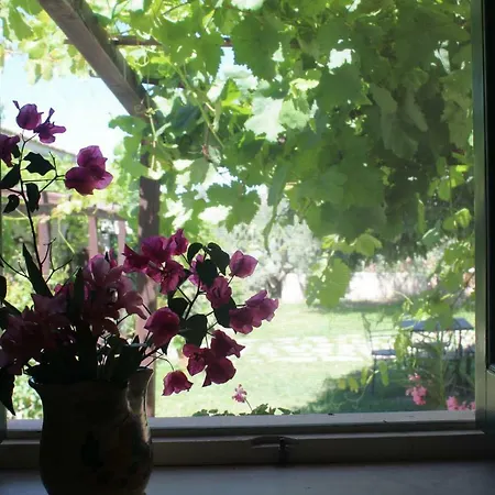 Il Bagolaro Farm stay Noto