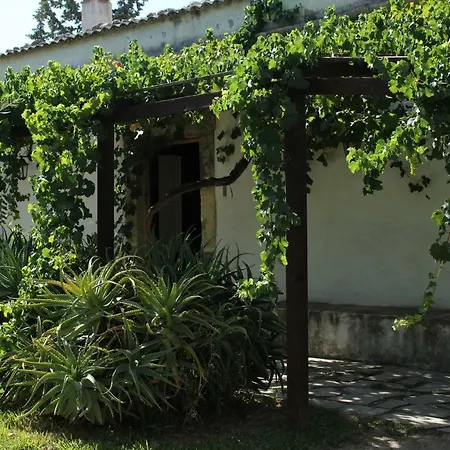 Il Bagolaro *