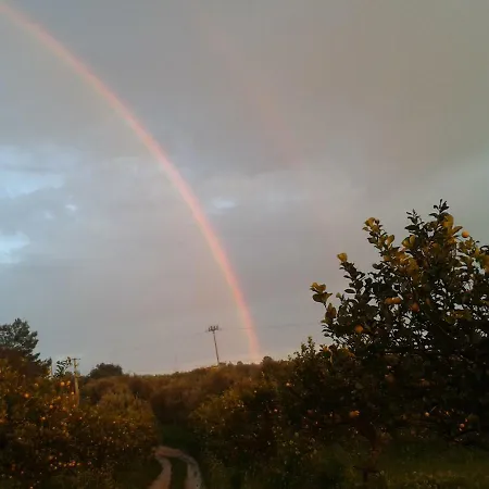 Il Bagolaro Farm stay