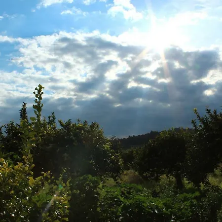 Farm stay Il Bagolaro Noto