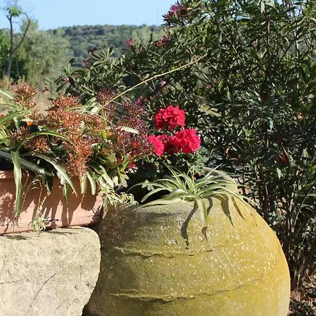 Alloggio per agriturismo Il Bagolaro